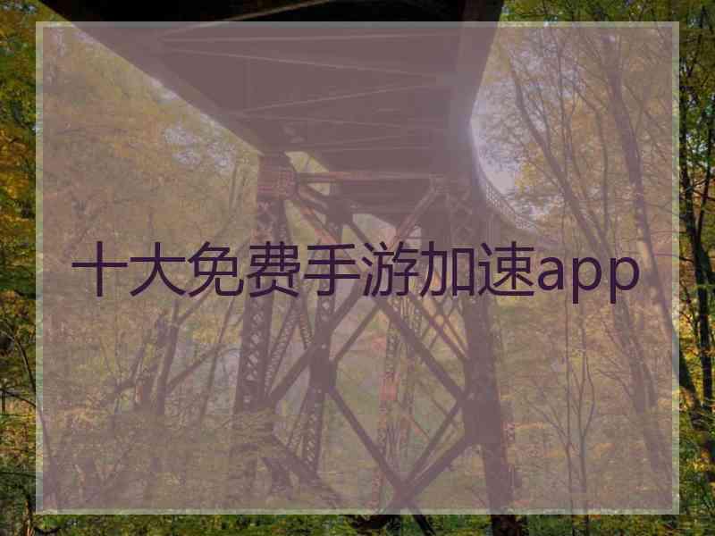 十大免费手游加速app