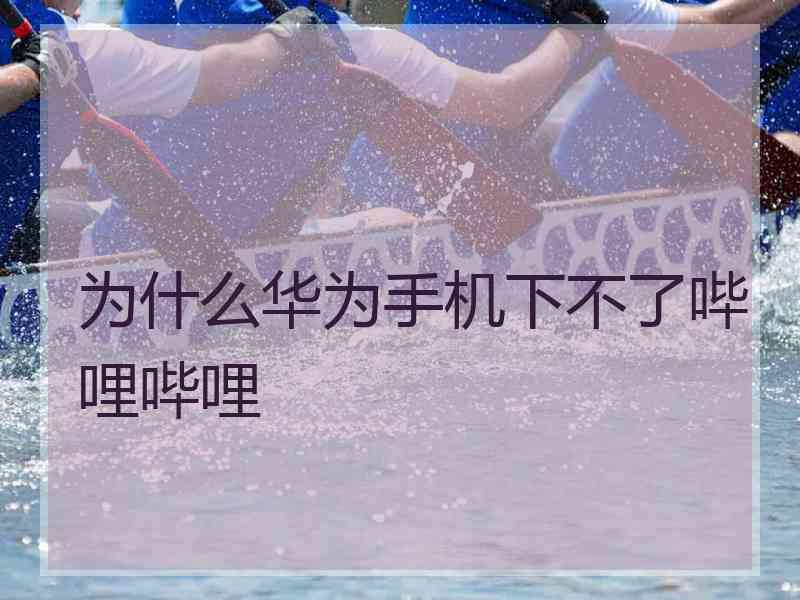 为什么华为手机下不了哔哩哔哩