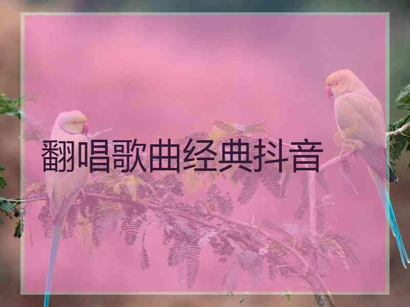 翻唱歌曲经典抖音