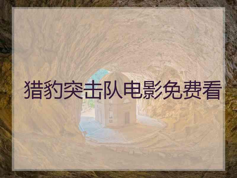 猎豹突击队电影免费看