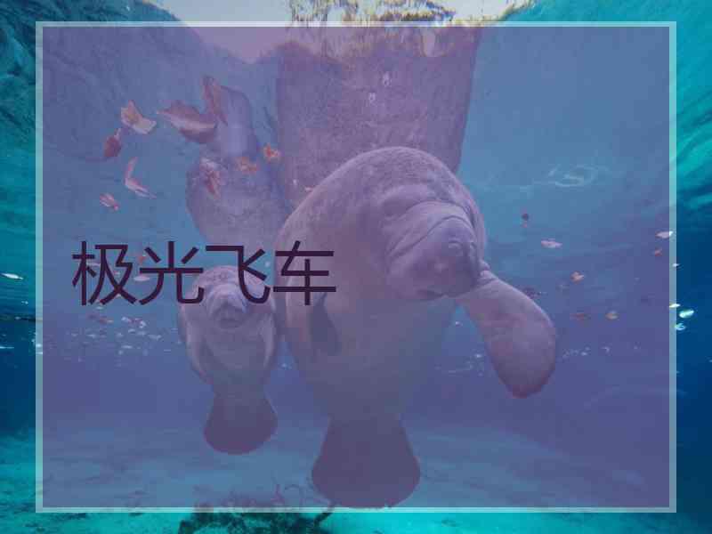 极光飞车