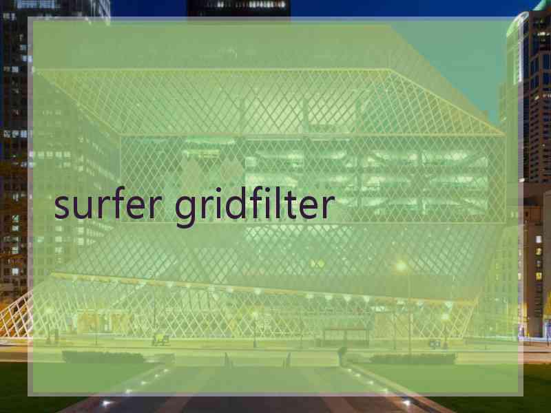 surfer gridfilter