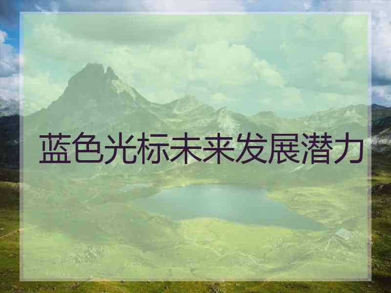 蓝色光标未来发展潜力