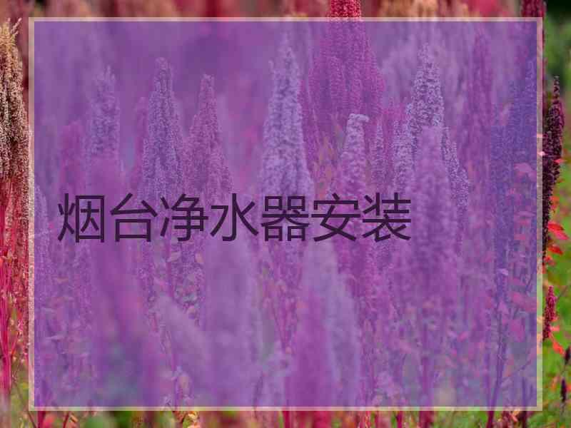 烟台净水器安装