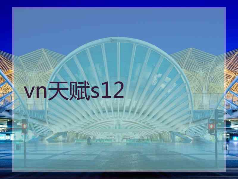 vn天赋s12