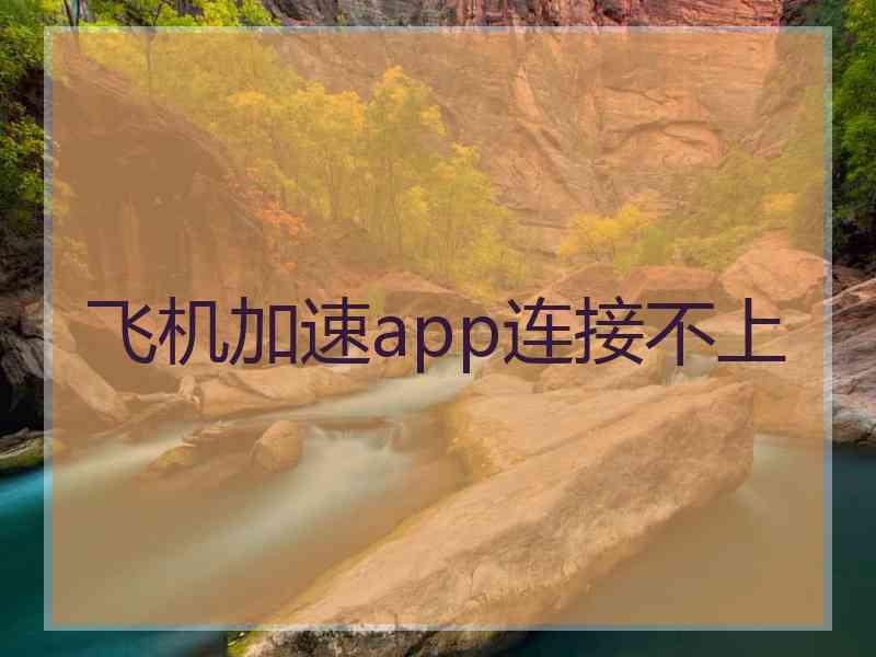 飞机加速app连接不上