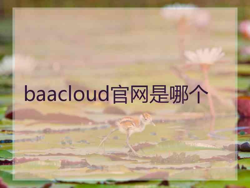 baacloud官网是哪个