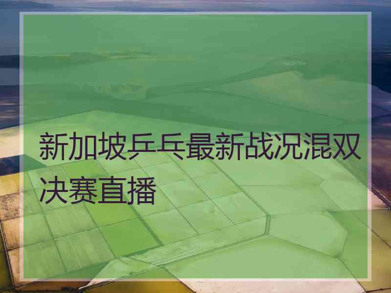 新加坡乒乓最新战况混双决赛直播
