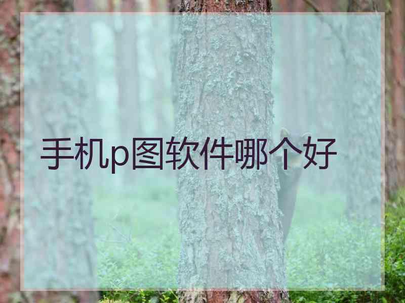 手机p图软件哪个好
