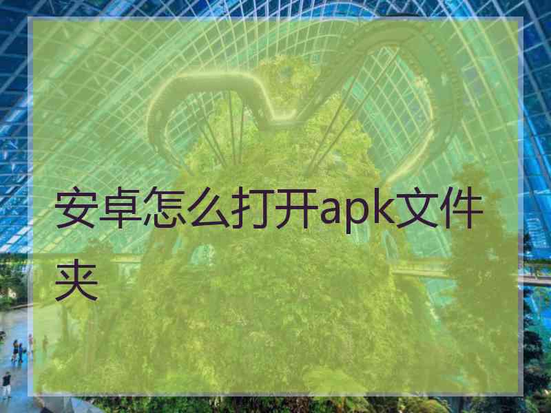 安卓怎么打开apk文件夹