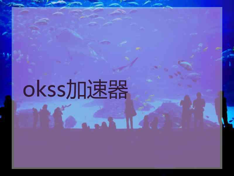 okss加速器