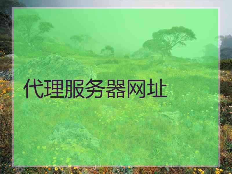 代理服务器网址