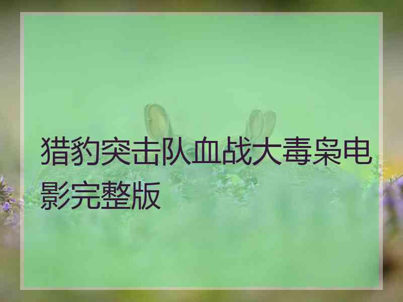 猎豹突击队血战大毒枭电影完整版