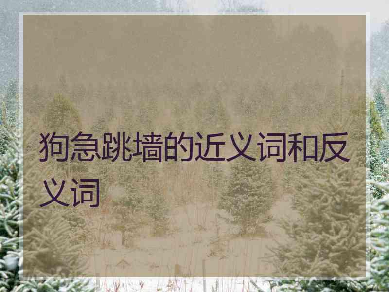 狗急跳墙的近义词和反义词