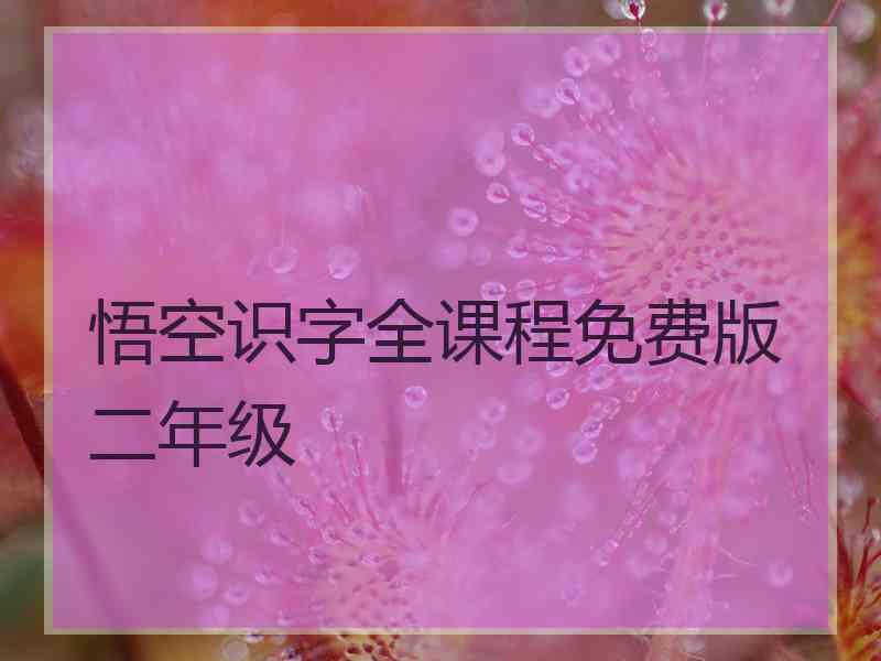 悟空识字全课程免费版二年级