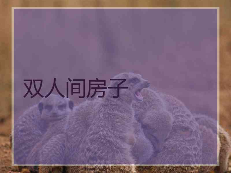 双人间房子