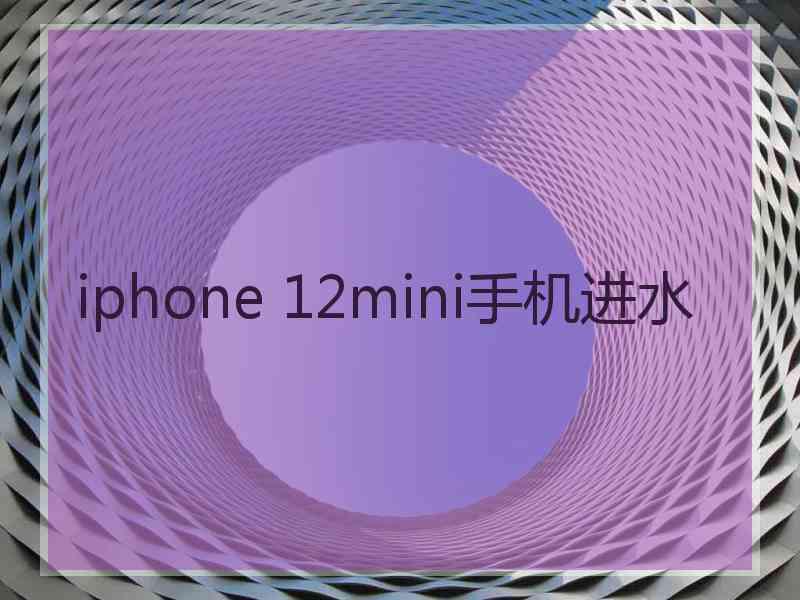 iphone 12mini手机进水