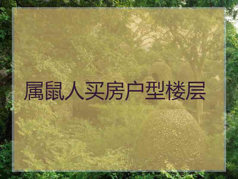 属鼠人买房户型楼层
