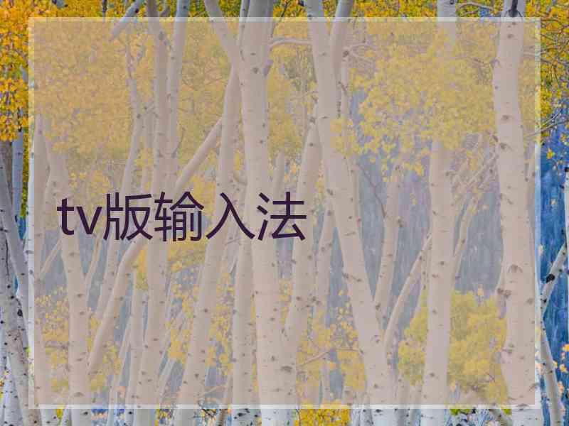 tv版输入法