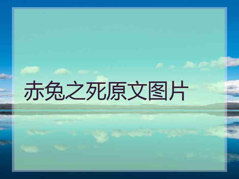 赤兔之死原文图片