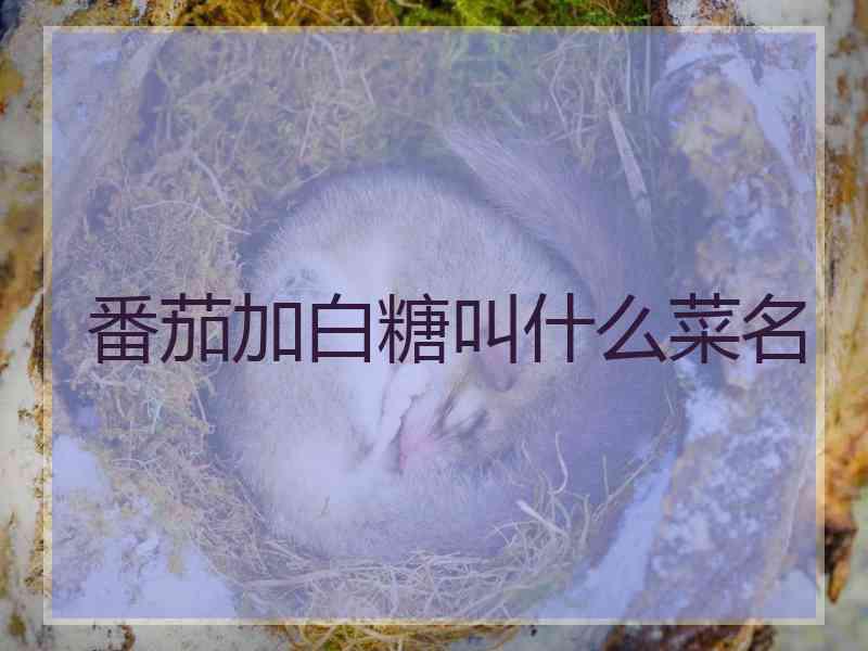 番茄加白糖叫什么菜名