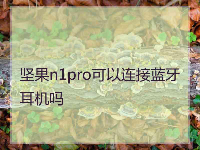 坚果n1pro可以连接蓝牙耳机吗