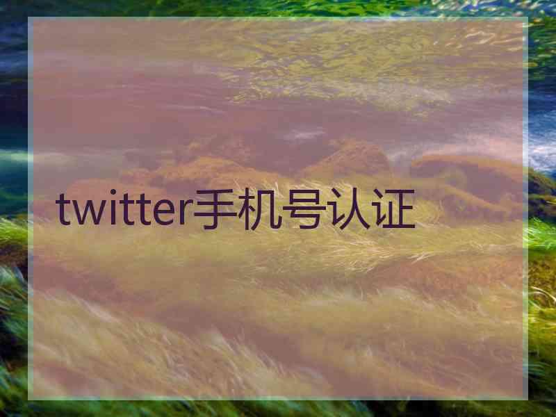 twitter手机号认证