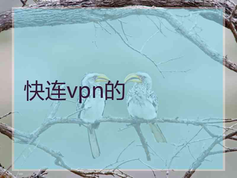 快连vpn的