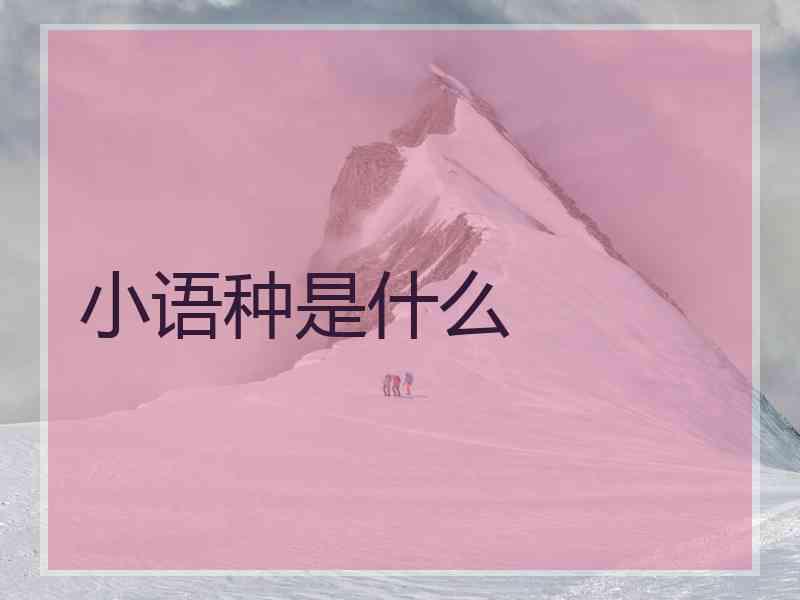 小语种是什么