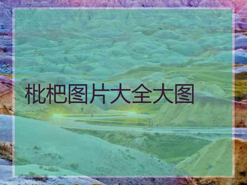 枇杷图片大全大图