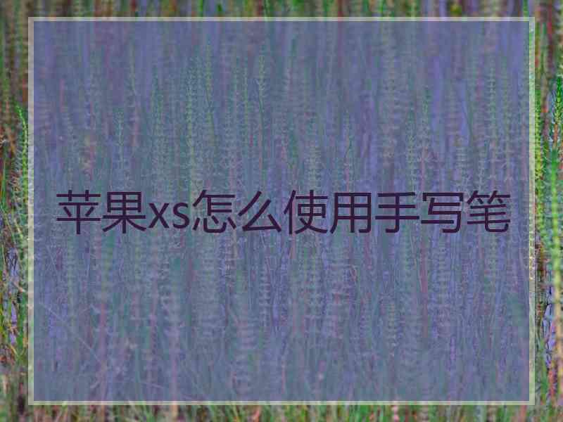 苹果xs怎么使用手写笔