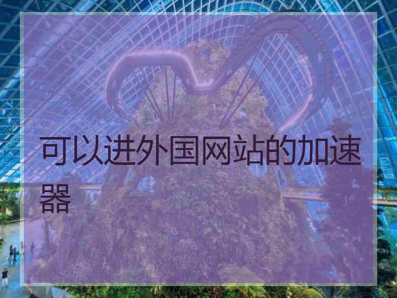 可以进外国网站的加速器