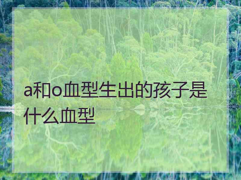 a和o血型生出的孩子是什么血型