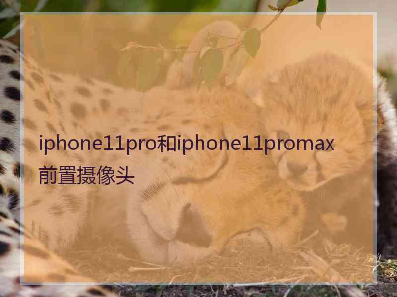 iphone11pro和iphone11promax前置摄像头