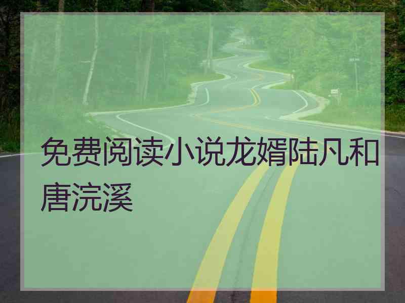 免费阅读小说龙婿陆凡和唐浣溪