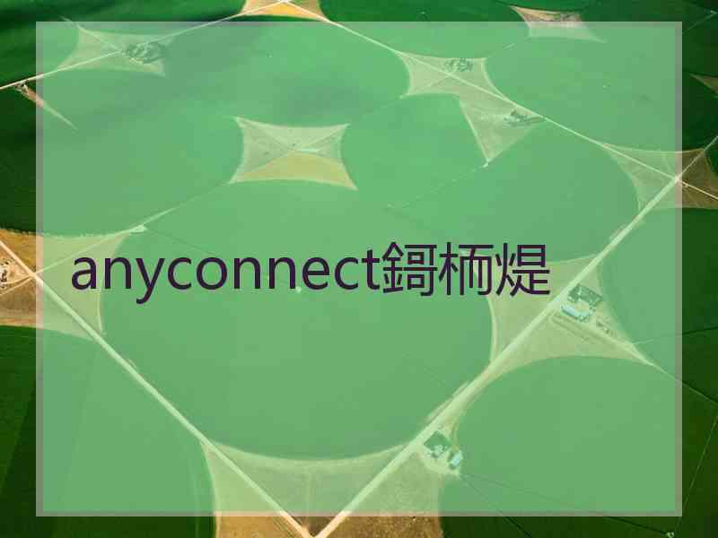 anyconnect鎶栭煶