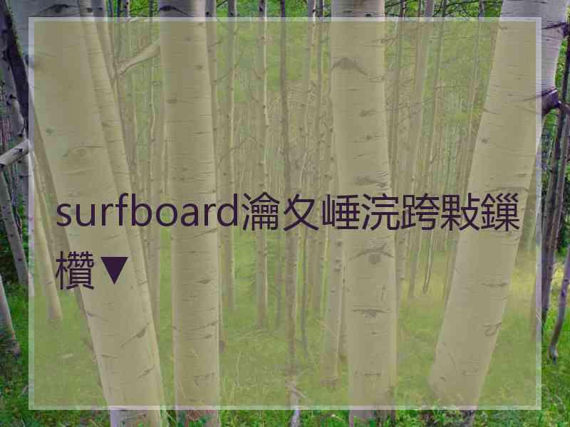 surfboard瀹夊崜浣跨敤鏁欑▼