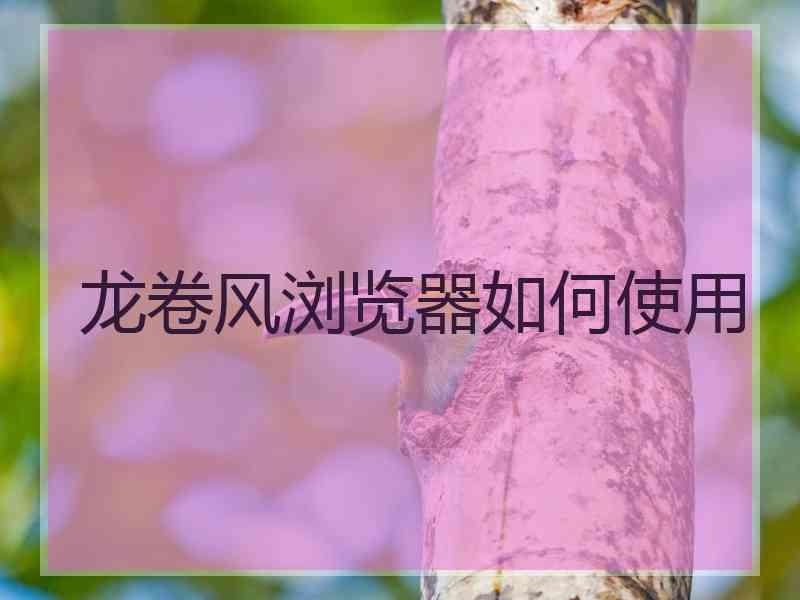 龙卷风浏览器如何使用