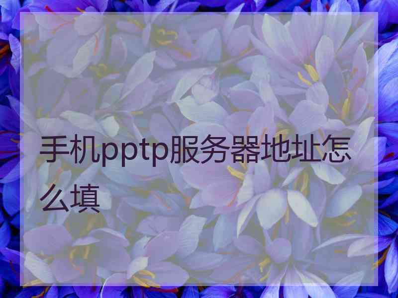 手机pptp服务器地址怎么填