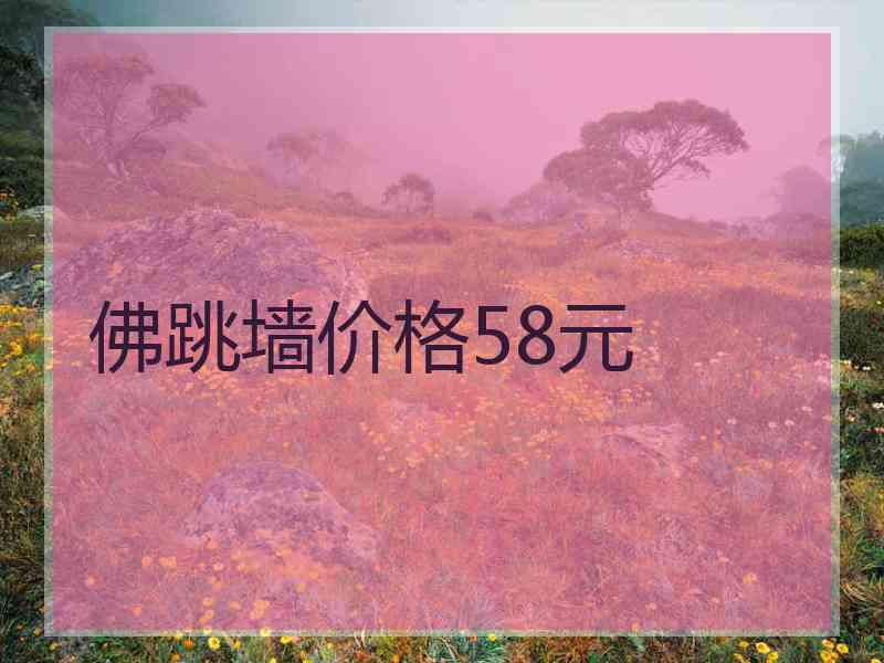 佛跳墙价格58元