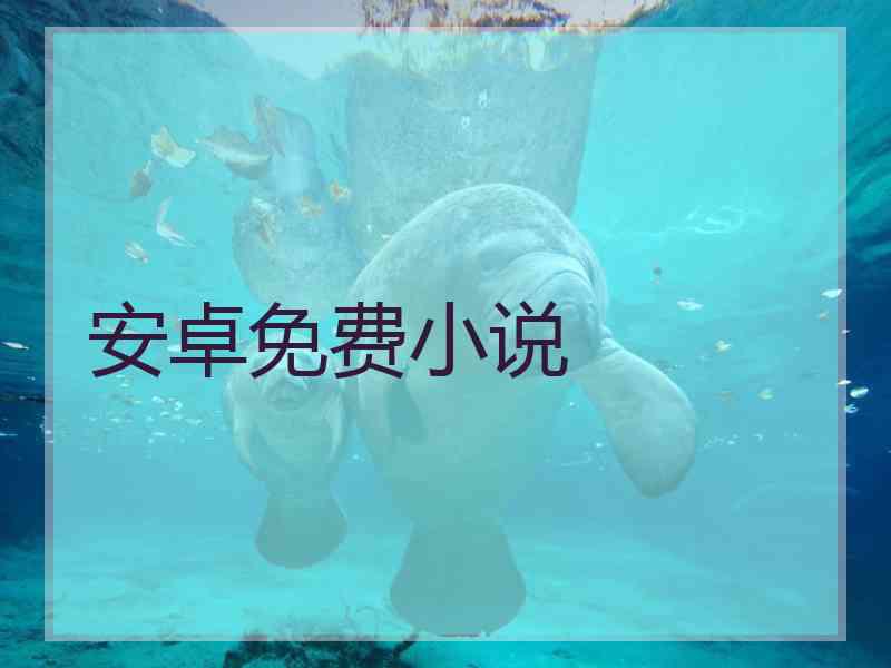 安卓免费小说
