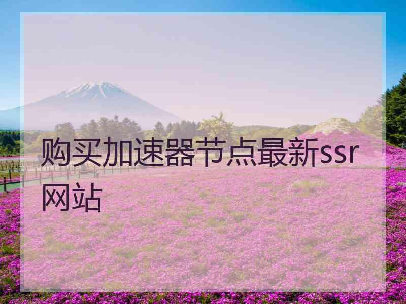 购买加速器节点最新ssr网站