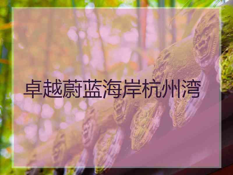 卓越蔚蓝海岸杭州湾