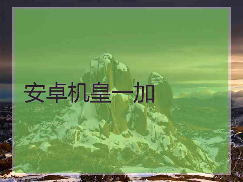 安卓机皇一加
