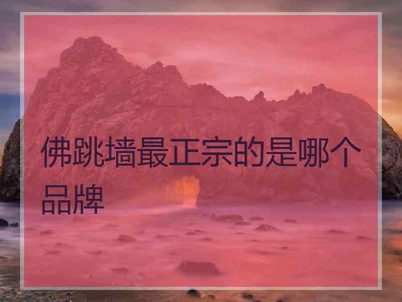 佛跳墙最正宗的是哪个品牌