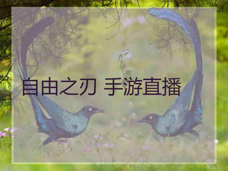 自由之刃 手游直播