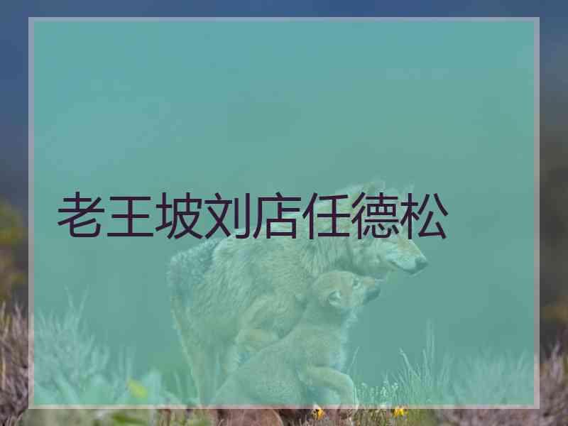 老王坡刘店任德松