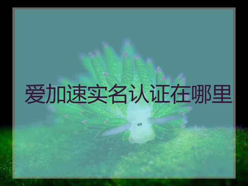 爱加速实名认证在哪里