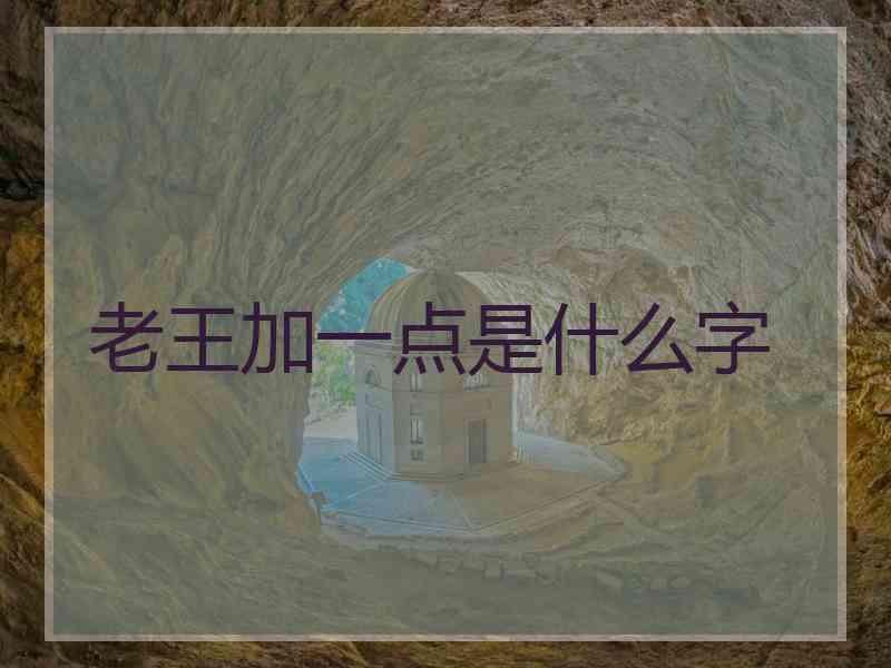 老王加一点是什么字