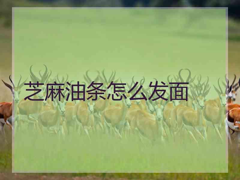 芝麻油条怎么发面